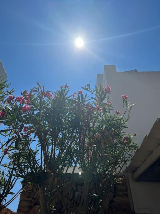 Apartment Great Penthouse With Pool And Private Roof Terrace Santanyi